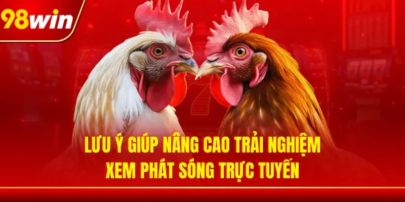 Lưu ý giúp nâng cao trải nghiệm xem phát sóng trực tuyến